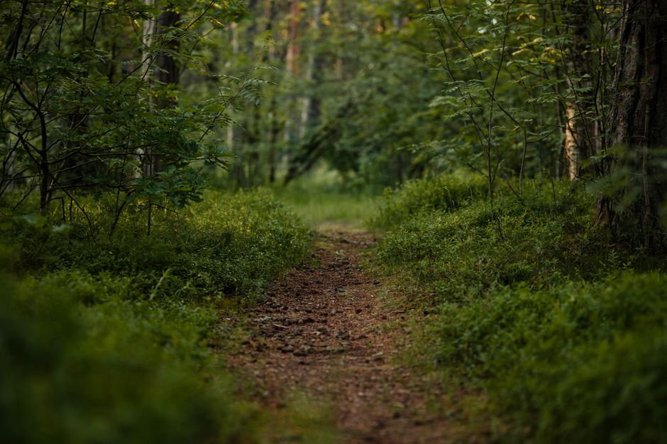 A Step-by-Step Look at Health Over A Lifetime, Not A Season