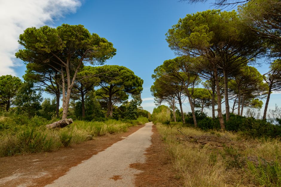 Caring For Your Overall Health as a Daily Habit — Part 2