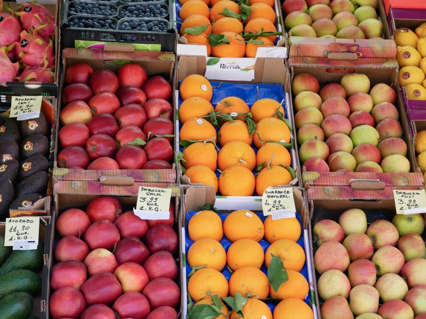Health Advice Online And How To Weigh It as a Daily Habit