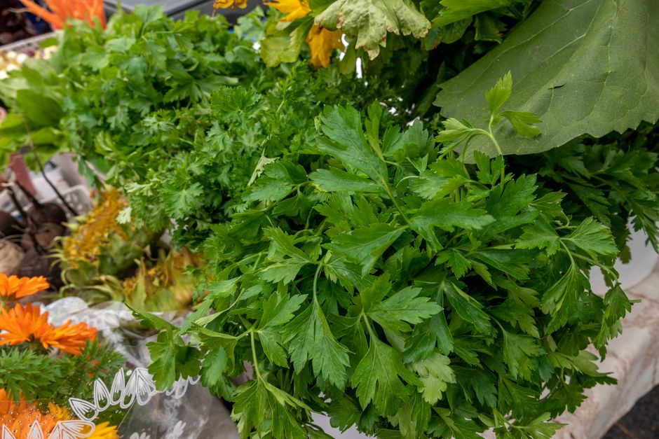 Herbs And Botanicals: A Cautious Look: What Actually Works