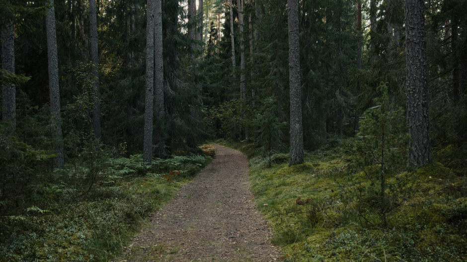 How to Get Back Into Working Out After a Long Break