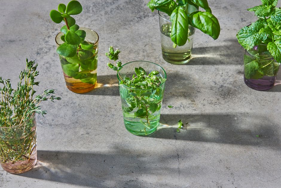 Hydration, Breath And The Overlooked Basics in Your 40s, 50s and Beyond