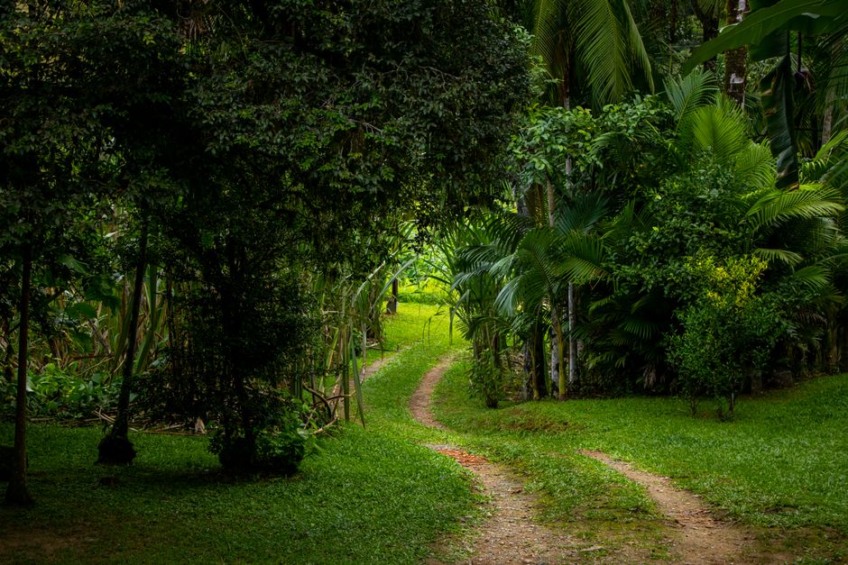 Living Well With Starting Over Without Starting From Scratch in Mind, Day by Day
