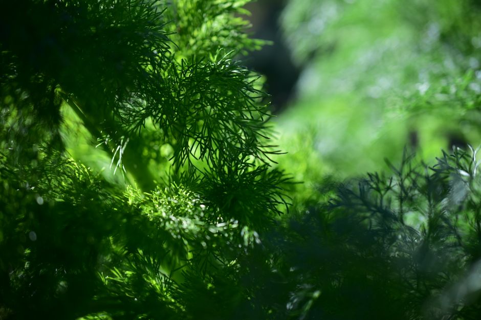 Seasonal Changes And How The Body Responds as the Years Add Up