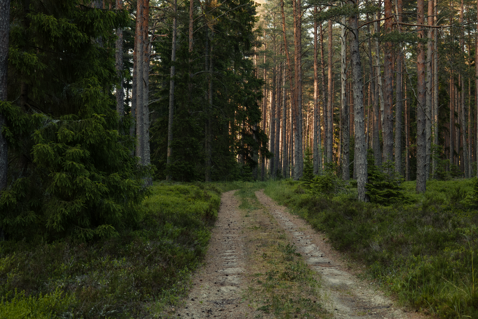 Small Wins With Health Over A Lifetime, Not A Season, One Step at a Time