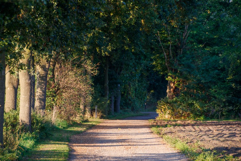 Starting Again After A Setback: Where to Start