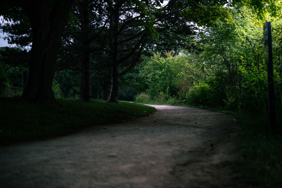 Starting Over Without Starting From Scratch: A Time-Friendly Approach