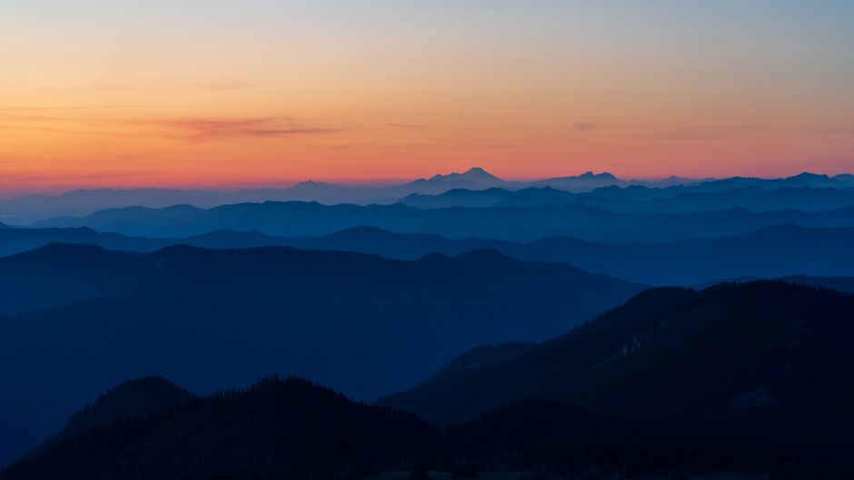 How to Stop Wellness Anxiety and Find Peace in Uncertainty