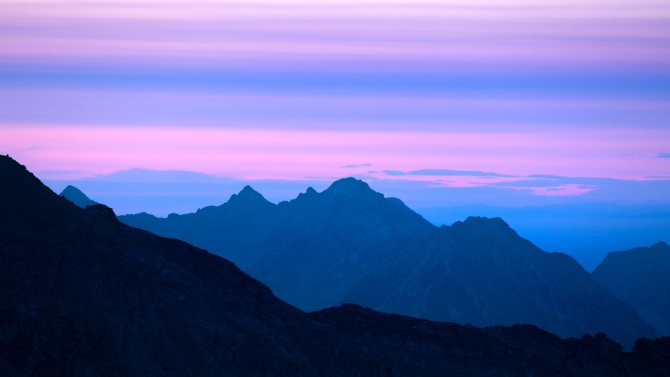 The Shared Path: How Caring for Others Shapes Our Wellness