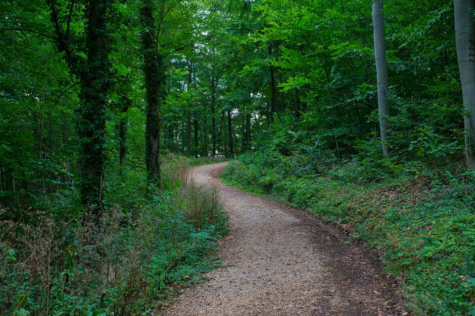 The Habit Of Moving Through The Day: Where to Start