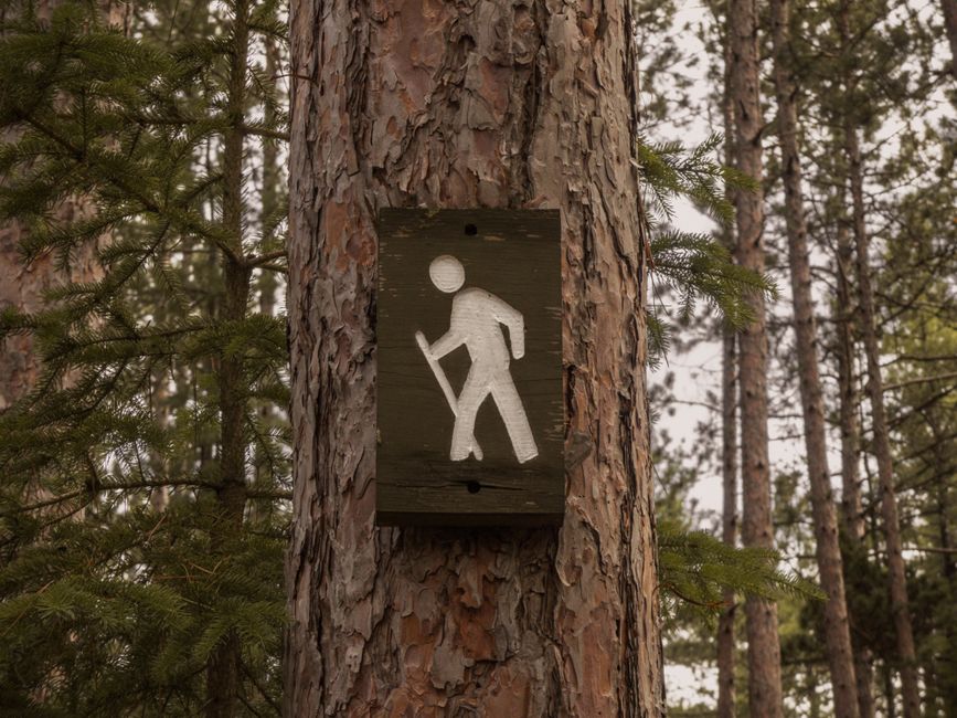 The Pleasure Principle In Healthy Living: Common Mistakes to Avoid