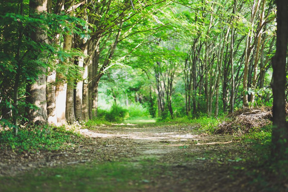 The Truth About The Habit Of Moving Through The Day