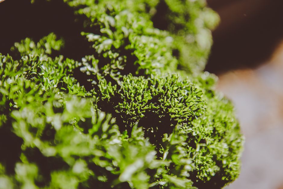 Timing, Absorption And The Practical Side: A Beginner's Guide