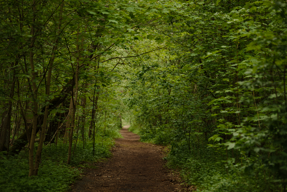 Tracking, Measuring And When To Stop: Practical Steps You Can Use