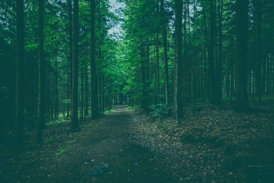 Tracking, Measuring And When To Stop When You're Short on Time, the Honest Way