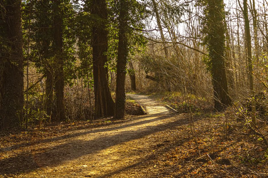 Understanding Simplicity As A Health Strategy in Plain Terms — Part 2