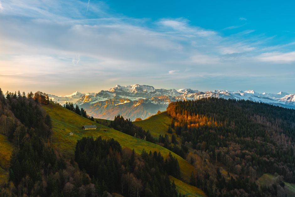 Wellness Without Perfectionism When You're Short on Time — Part 2