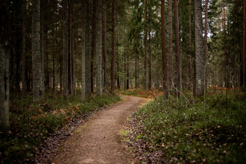 Where People Go Wrong With Starting Again After A Setback