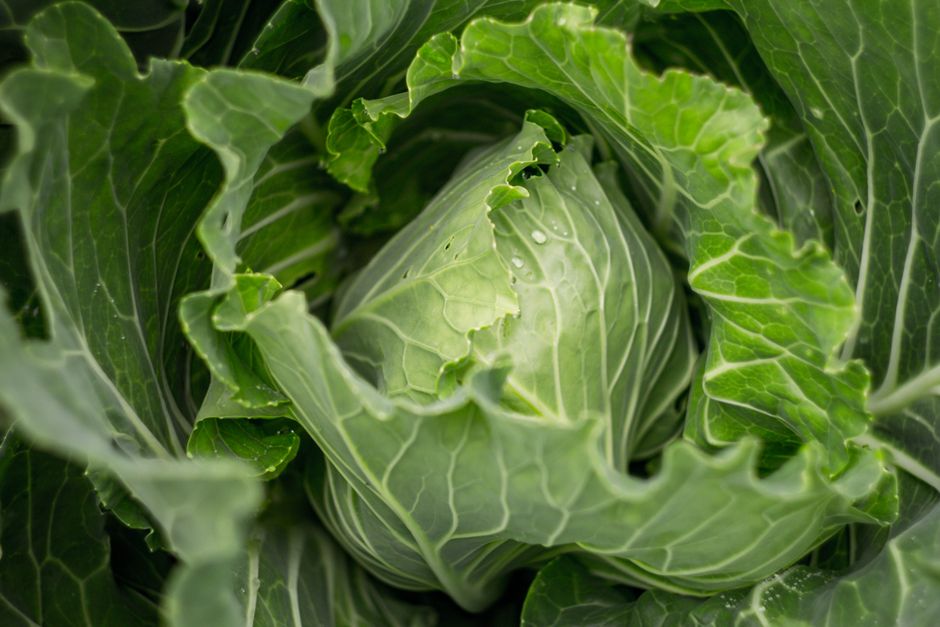 Why Magnesium: Why So Many People Run Short Is Worth Your Attention, on a Normal Week